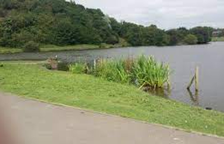 Central Forest Park