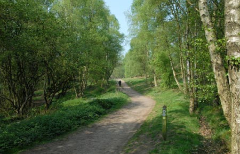Downs Banks