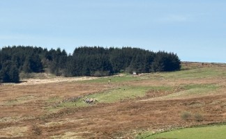 Morridge Photos