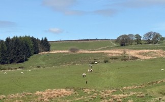 Morridge Photos